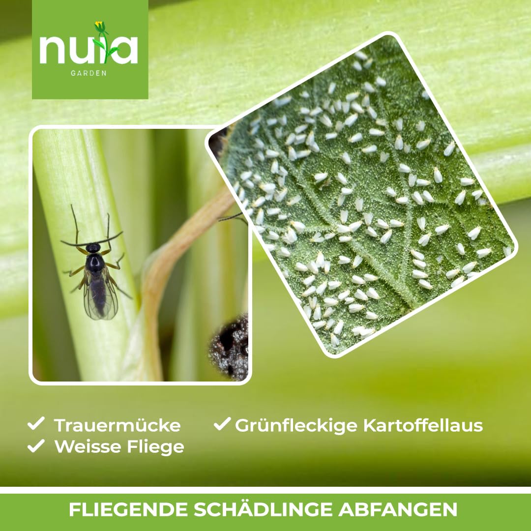 NUIA 60 x Gelbsticker