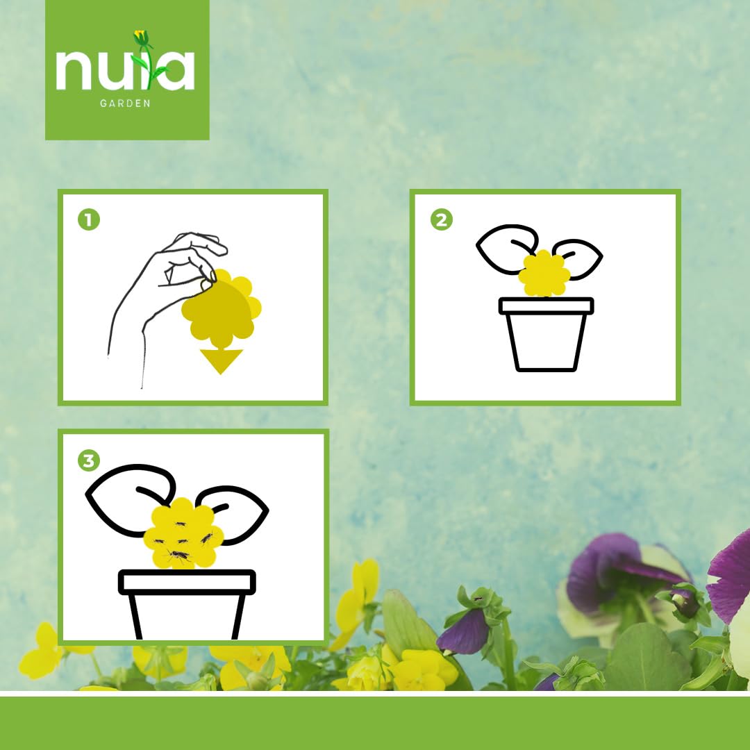 NUIA 60 x Gelbsticker
