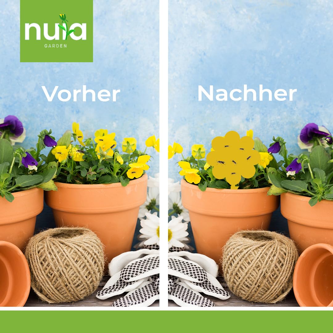 NUIA 60 x Gelbsticker